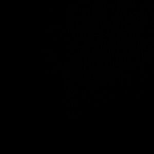 Meet your Posher, Katelyn